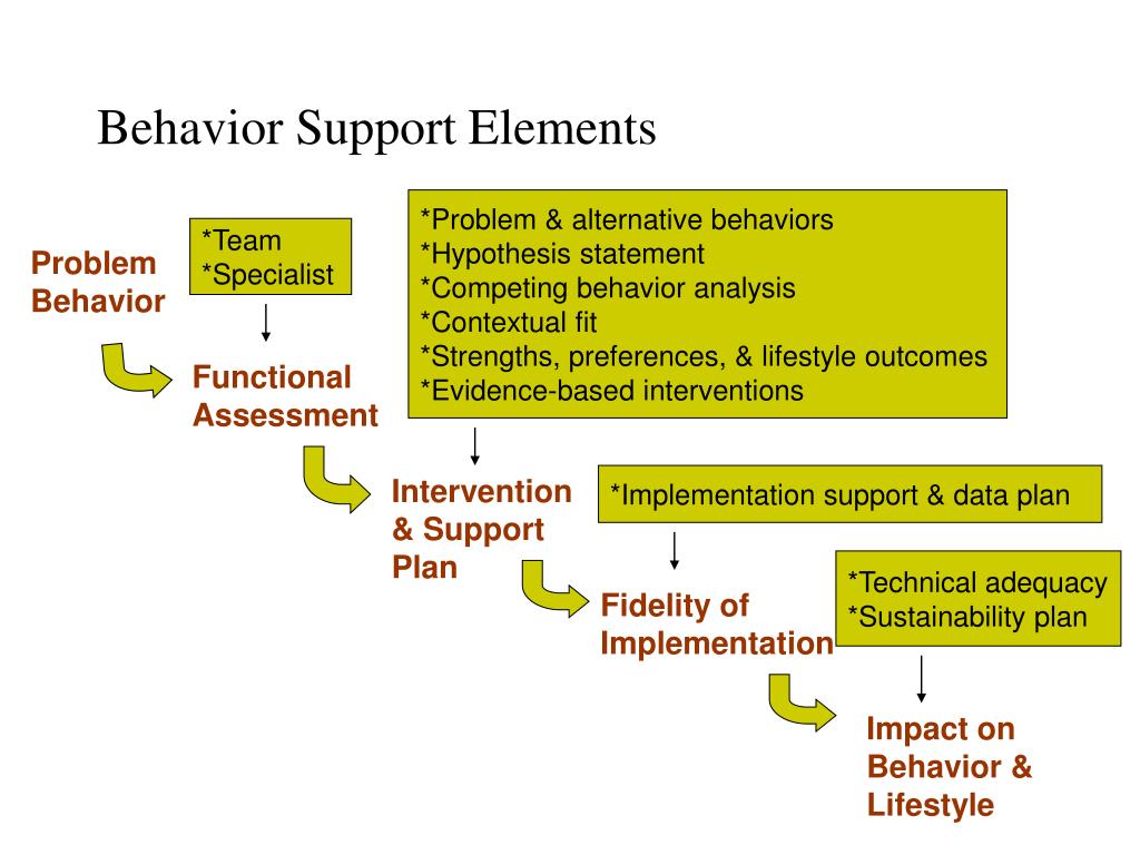 Support plan. Behavioral Analysis Unit. Situation Behavior Impact. SBI (situation-Behavior-Impact). Family-based interventions.