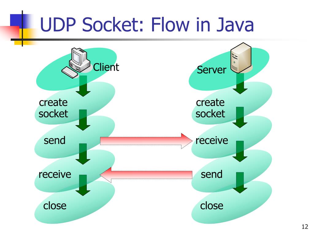 PPT - Network Programming and Java Sockets PowerPoint Presentation, free download - ID:3106038