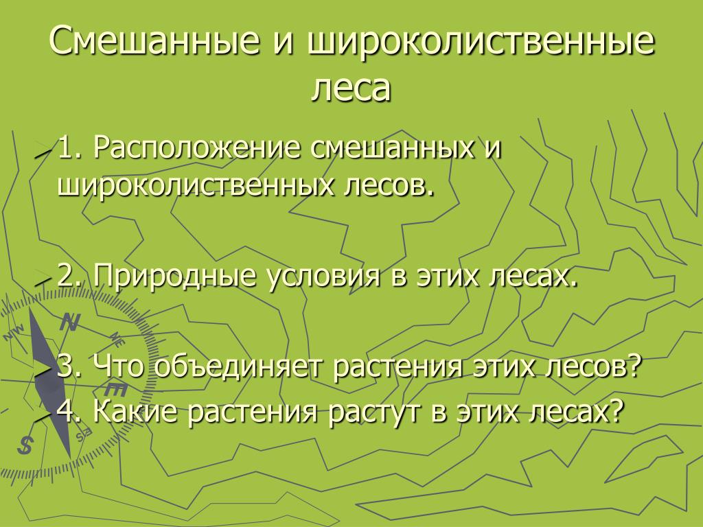 PPT - Леса России PowerPoint Presentation, free download - ID:5563380
