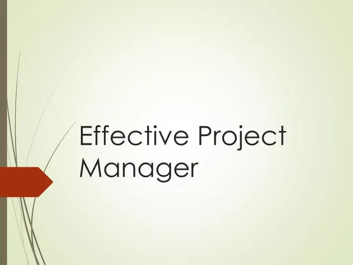 effective project manager n.