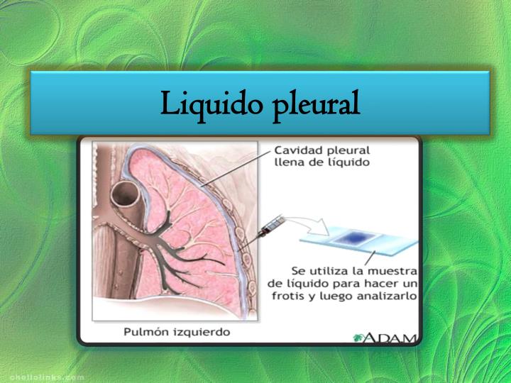 PPT - Liquido pleural y liquido pericardico PowerPoint Presentation