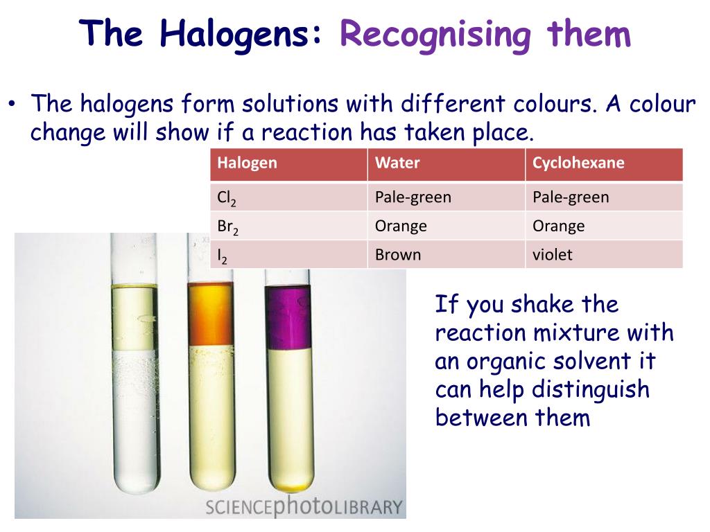 Chlorine Reaction Halogen At Kenneth Locke Blog