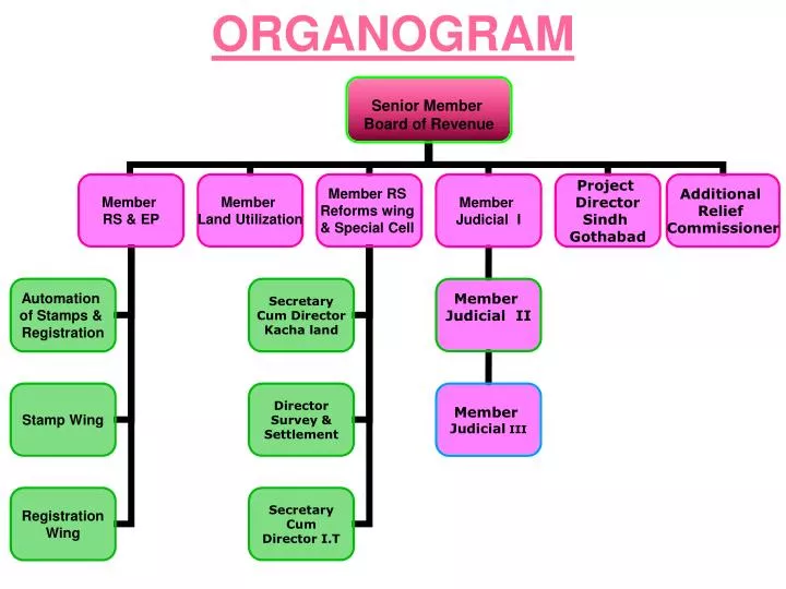 Organogram Ppt
