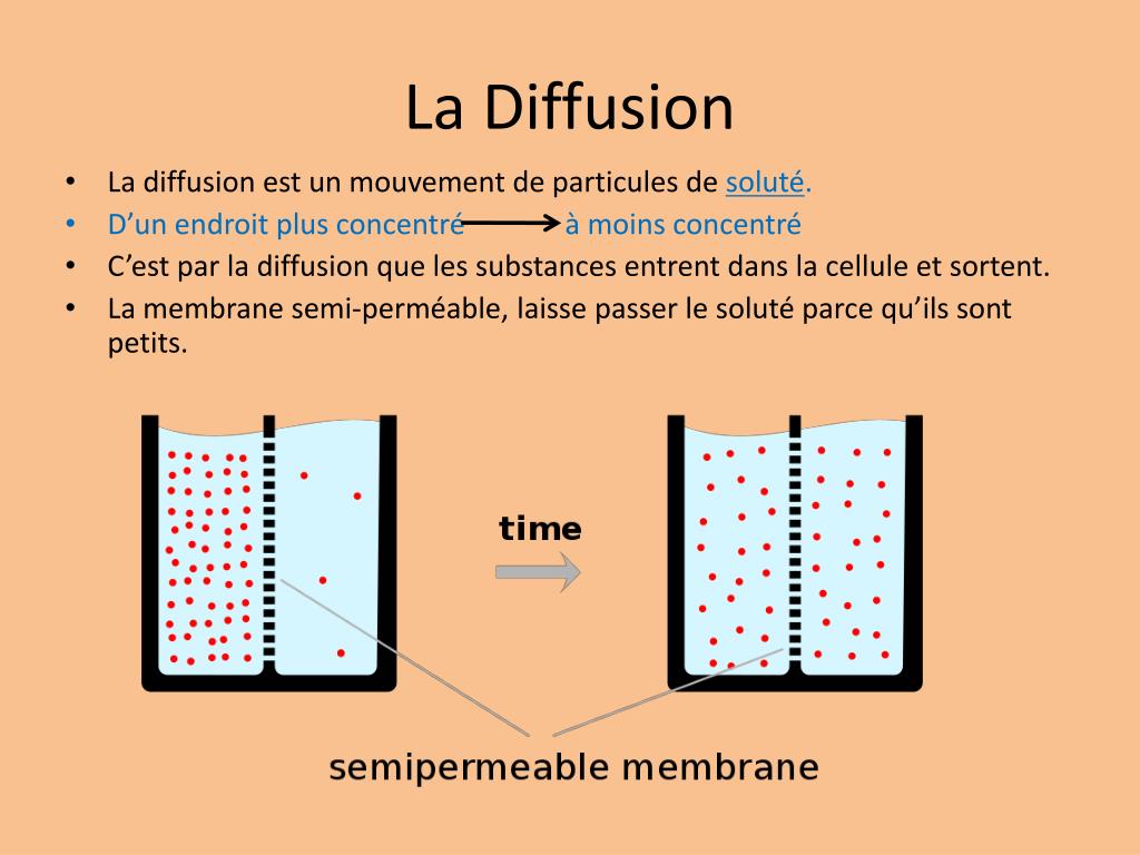 Stable diffusion control. Diffusion. Унстабл Диффузион. Analog diffusion. Դիֆուզիա diffusion.