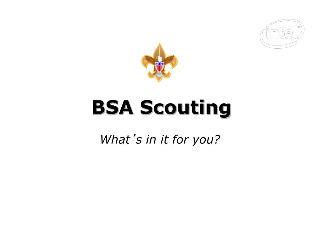 Bsa Ppt Template Bsa Ppt Template