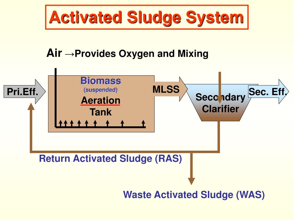 PPT - Module 16: The Activated Sludge Process – Part 2 PowerPoint