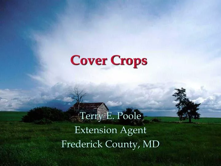 cover crops n.
