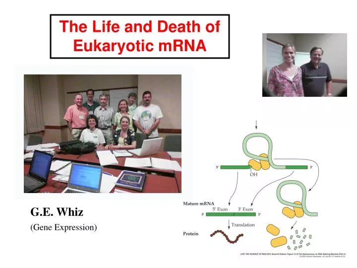 explain the life and death of explain the life and death of