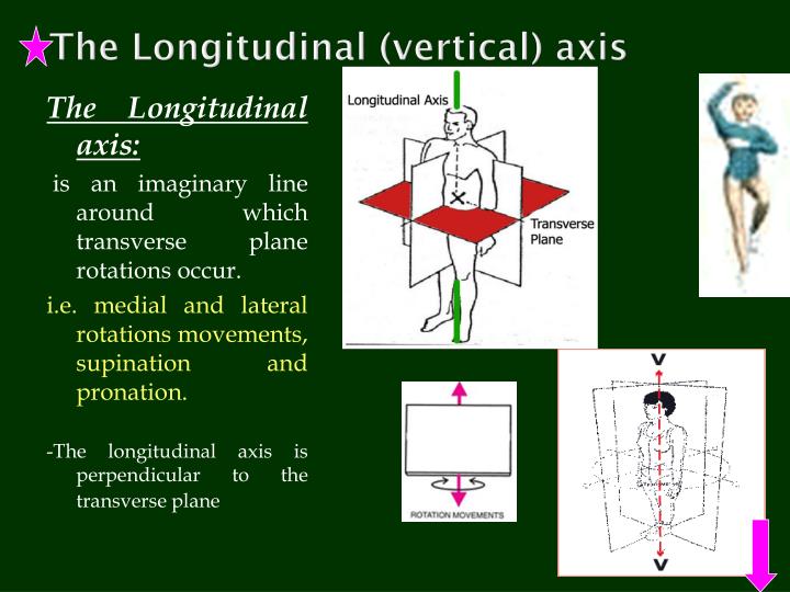 Ppt axes and planes fundamental positions and movements powerpoint