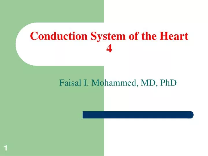 conduction system of the heart 4 n.