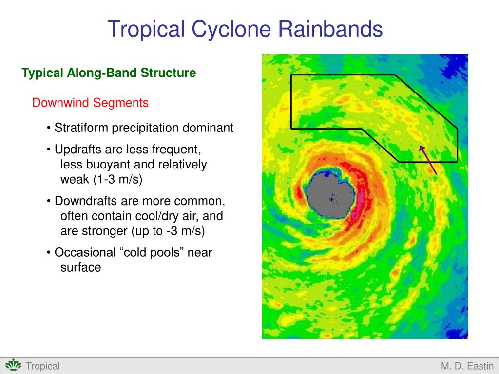 cyclone case study