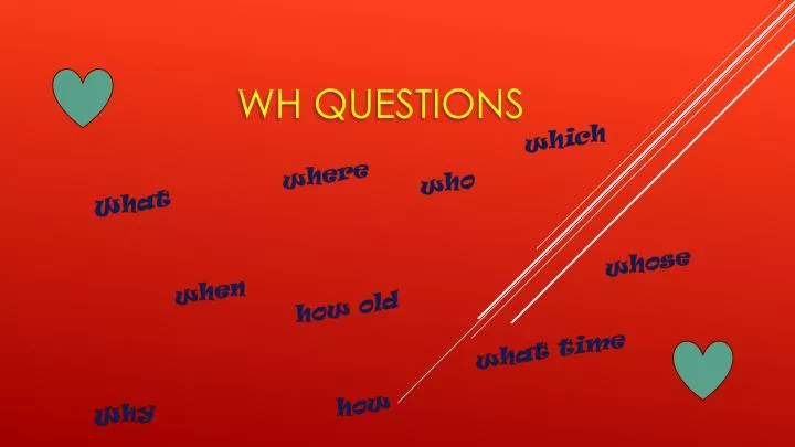 wh questions n.