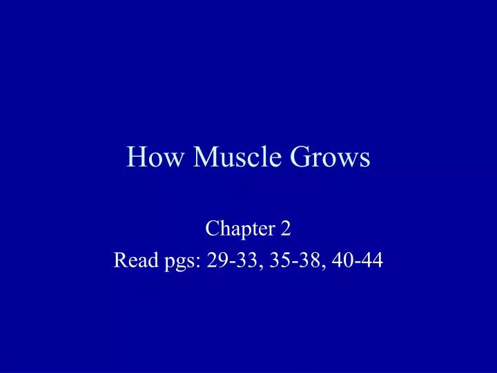 how muscle grows n.