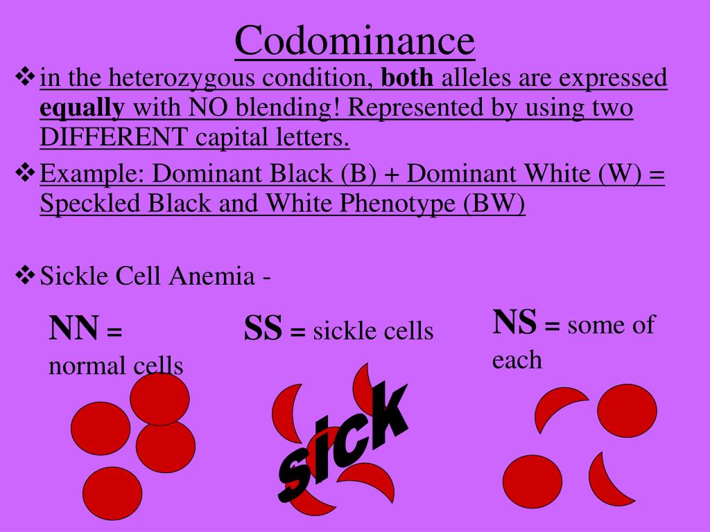 how are incomplete dominance and codominance different from a normal mendelian cross