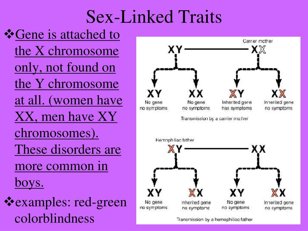 Ppt Non Mendelian Genetics Powerpoint Presentation Free Download