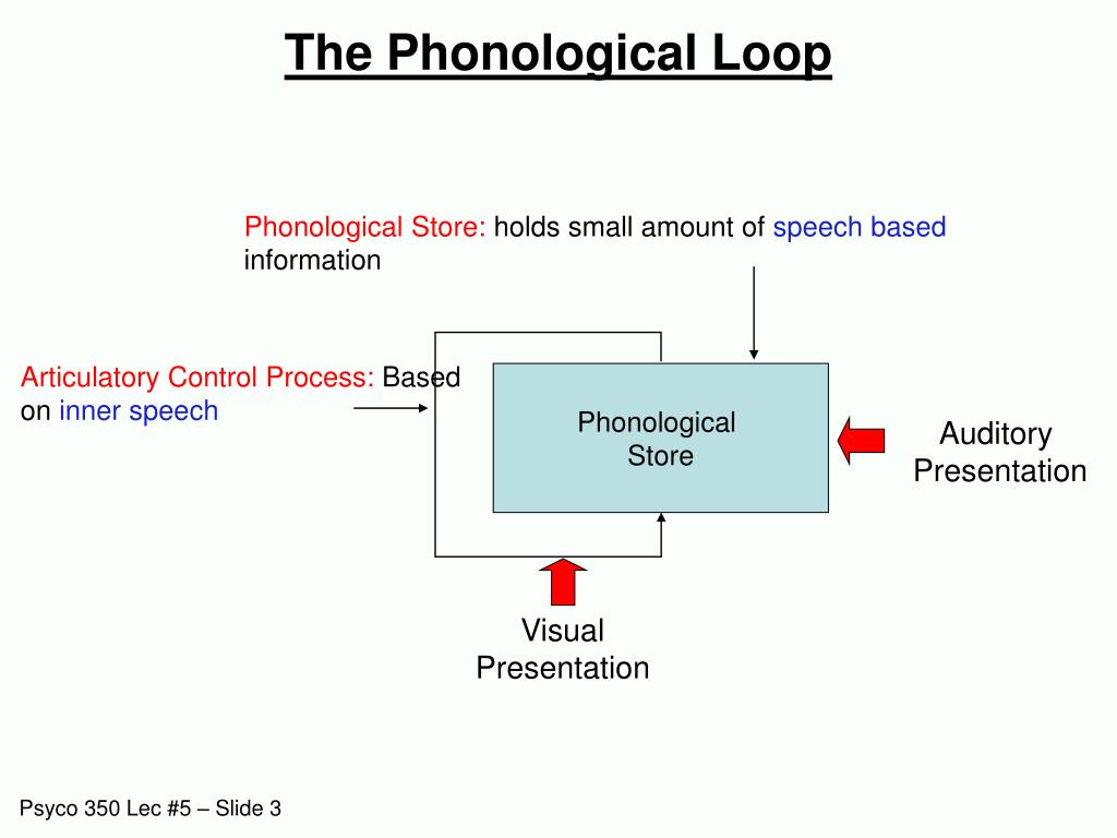 PPT Lecture 5 Psyco 350 B1 Winter 2011 PowerPoint Presentation PPT Lecture 5 Psyco 350 B1 Winter 2011 PowerPoint Presentation