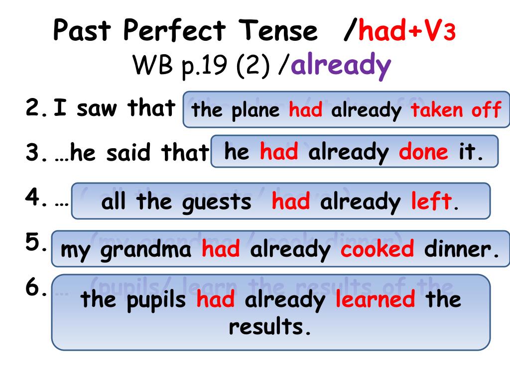 PPT Past Perfect Tense Had V 3 WB P 19 3 PowerPoint Presentation 