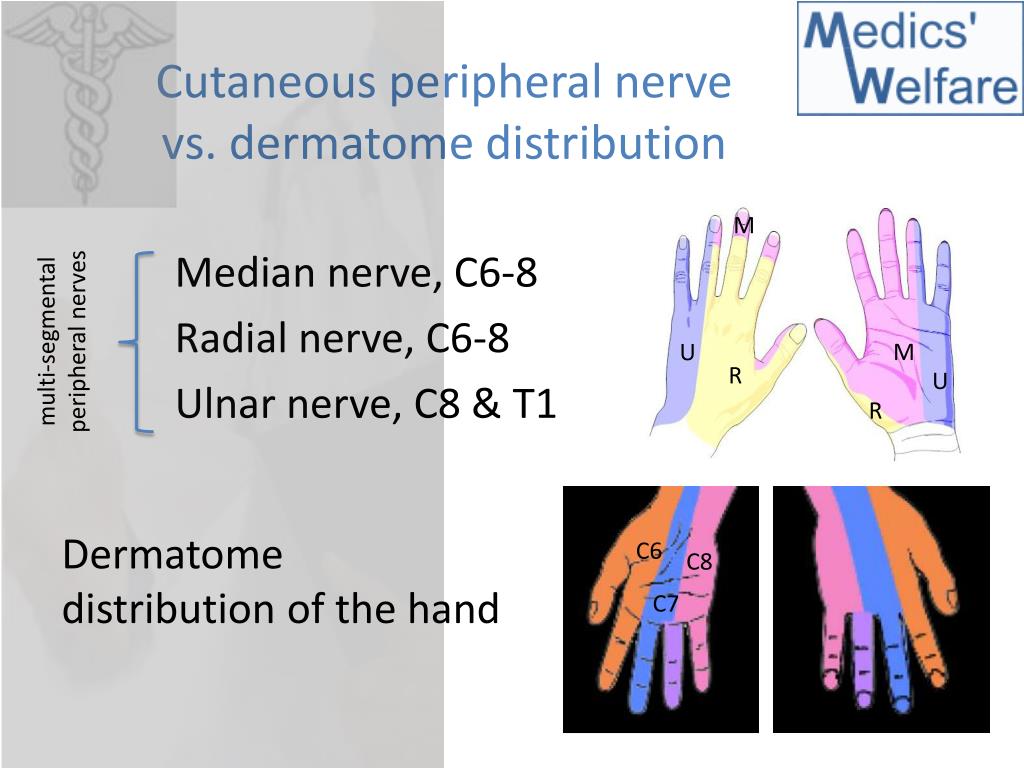 Ulnar Dermatome