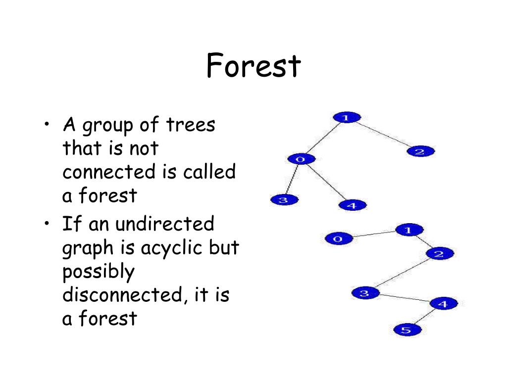 PPT - Graph Concepts PowerPoint Presentation, free download - ID:5580015