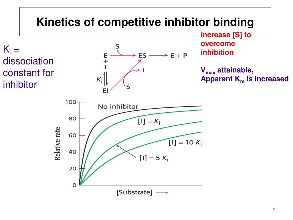 PPT Lecture 7Enzyme InhibitionDrug Discovery PowerPoint