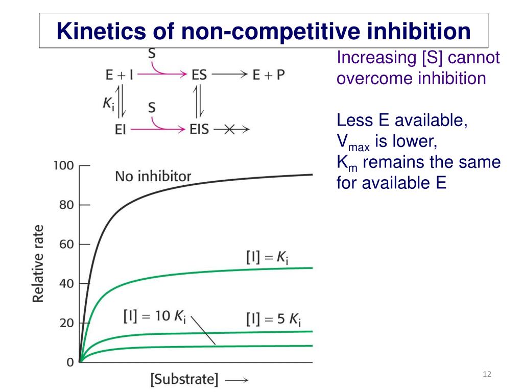 PPT Lecture 7Enzyme InhibitionDrug Discovery PowerPoint