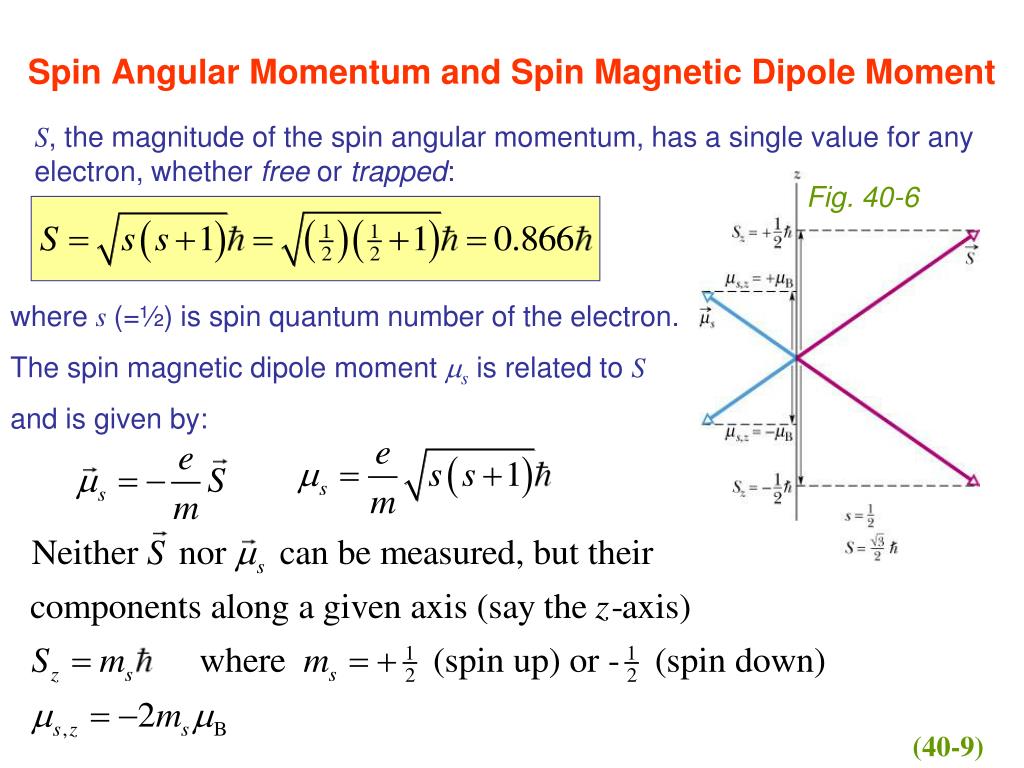Spin angular momentum pdf