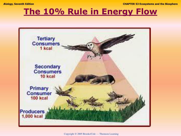 PPT Ecosystems and the Biosphere PowerPoint Presentation ID5581510