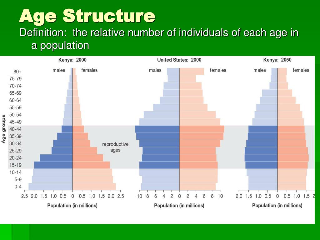 Age Structure Diagram Types