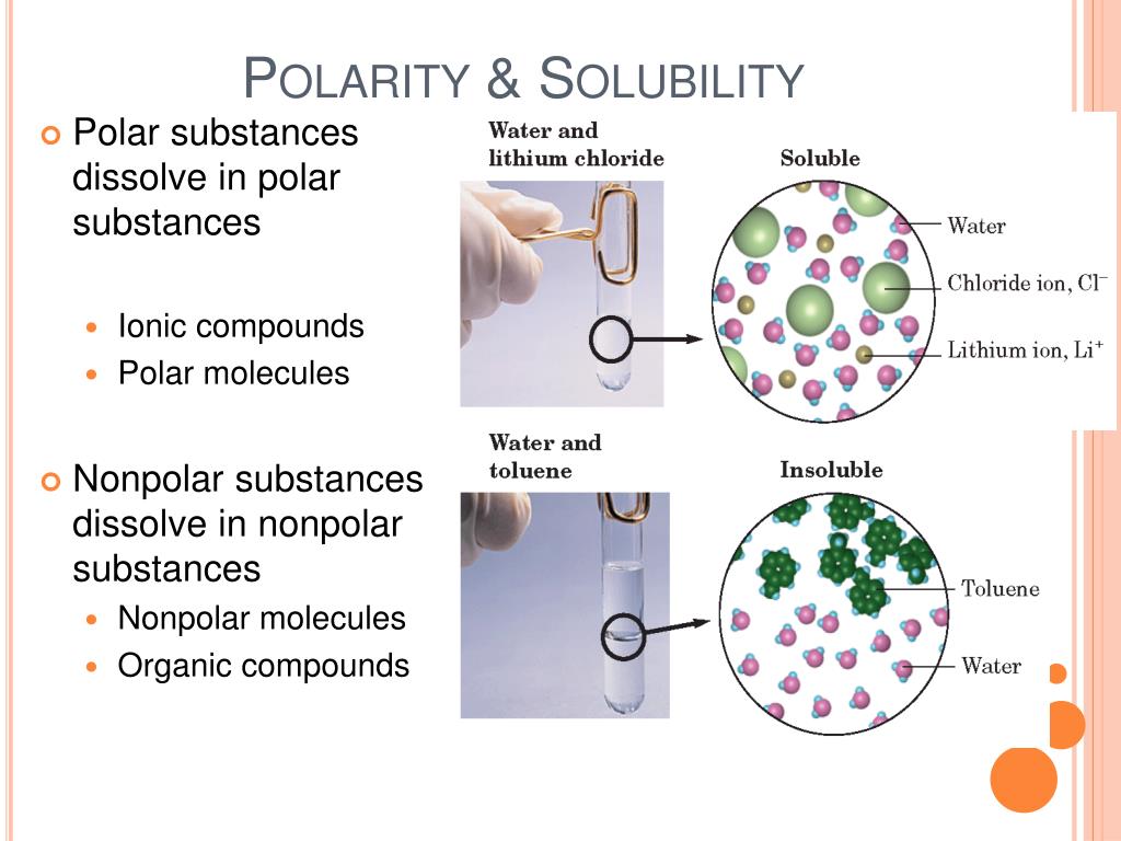 Solubility Polar Vs Nonpolar Worksheet Answers