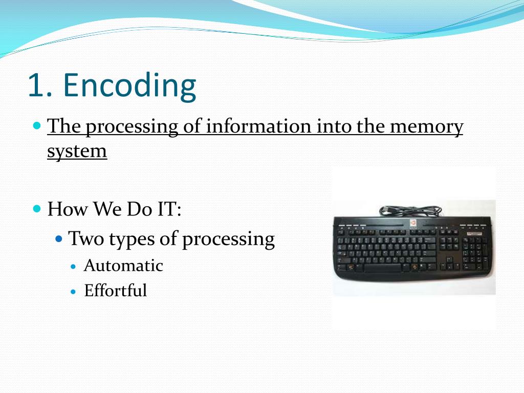 memory encoding definition