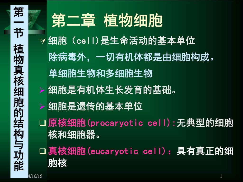 Ppt 第二章植物细胞powerpoint Presentation Free Download Id