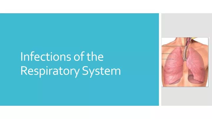 PPT - Infections Of The Respiratory System PowerPoint Presentation ...