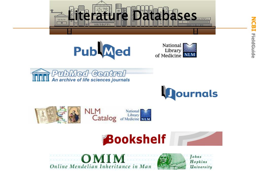 database and literature review