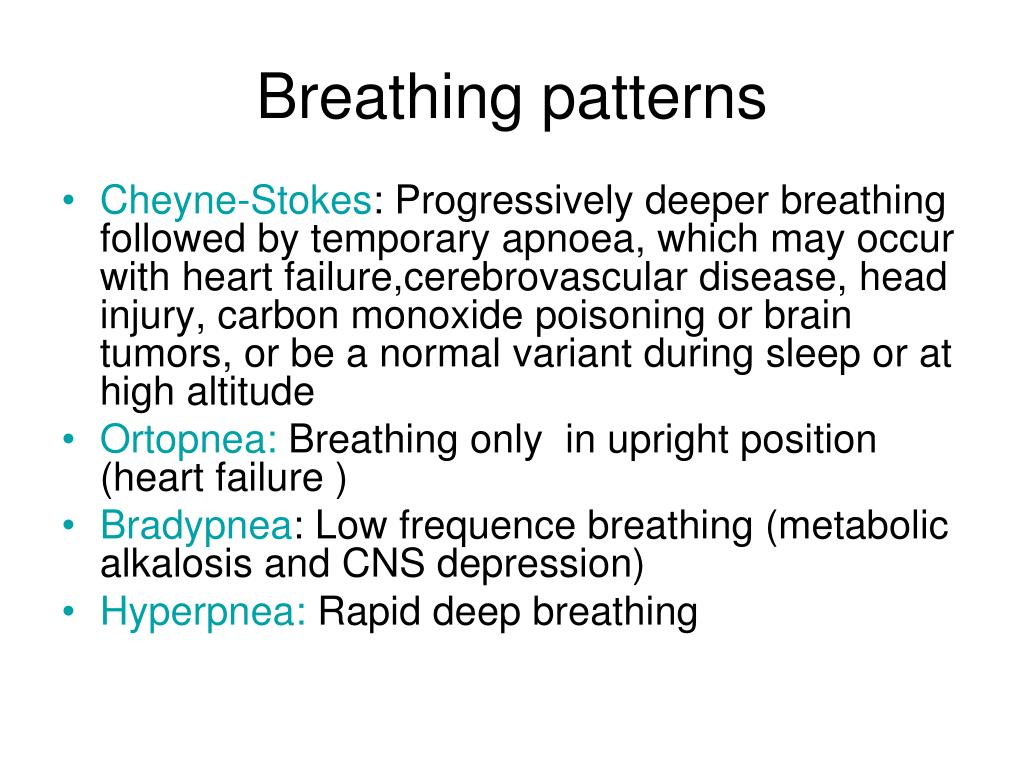 PPT - RESPIRATORY SYSTEM – PHYSICAL EXAMINATION PowerPoint Presentation ...