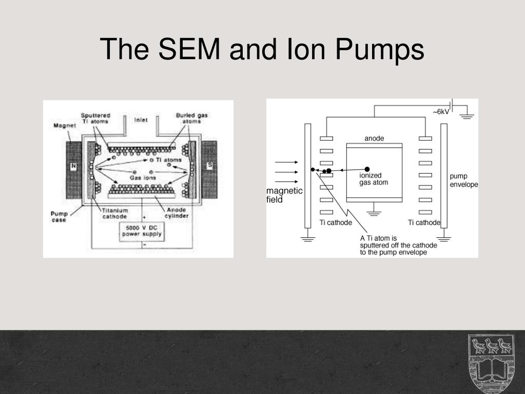 PPT - The SEM and Ion Pumps PowerPoint Presentation, free download -  ID:5590917