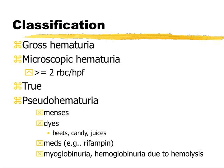 PPT Approach to Hematuria PowerPoint Presentation ID5591686