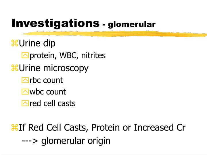 PPT Approach to Hematuria PowerPoint Presentation ID5591686