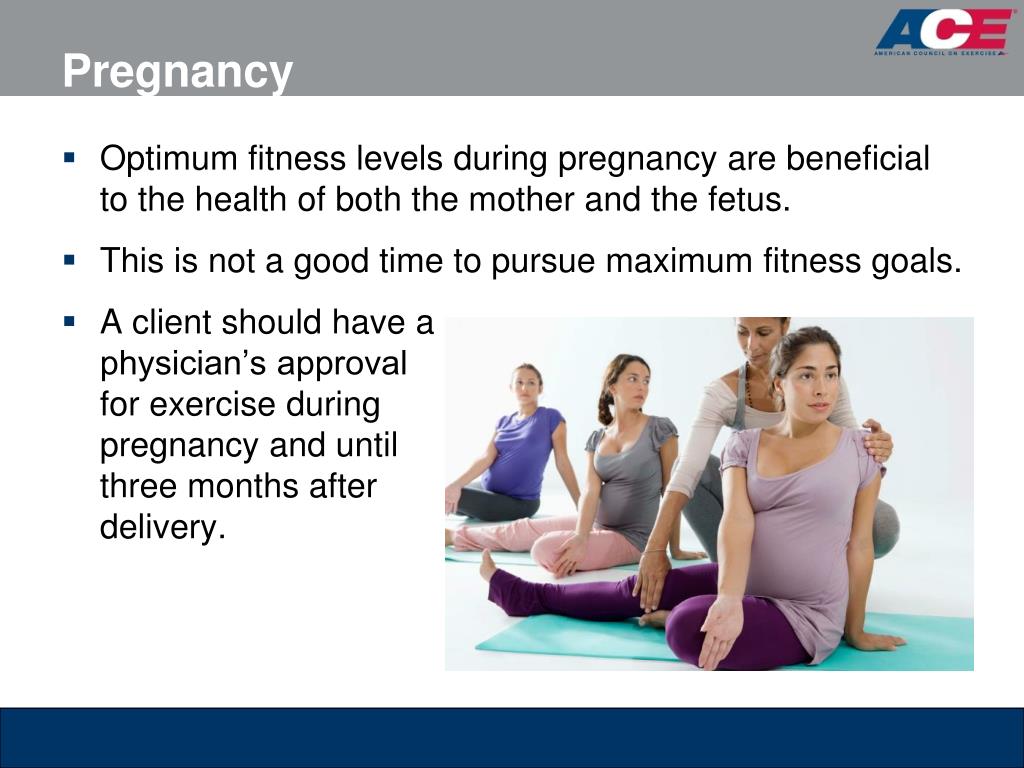 PPT - ACE Personal Trainer Manual, 4 th edition Chapter 6: Building