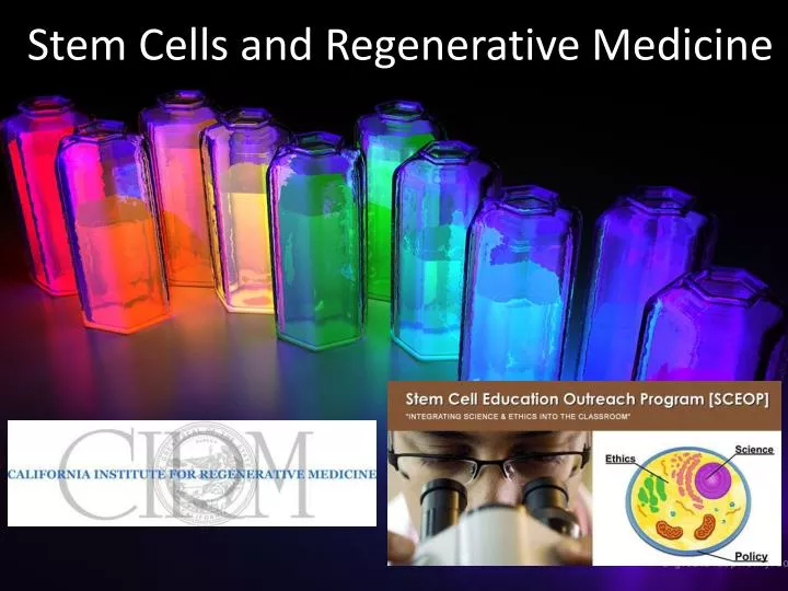 Ppt Stem Cells And Regenerative Medicine Powerpoint Presentation Free Download Id5594734 4217