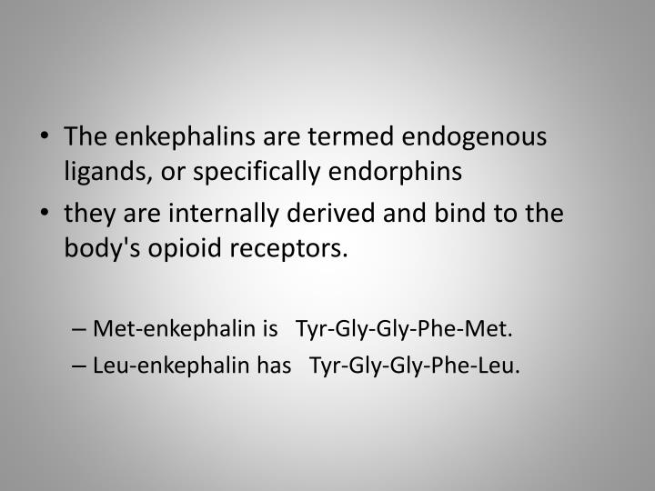 enkephalins and endorphins Define enkephalins enkephalins synonyms, enkephalins pronunciation, enkephalins translation, english dictionary definition of enkephalins peptides in the brain that act as natural painkillers. enkephalins and endorphins Define enkephalins enkephalins synonyms, enkephalins pronunciation, enkephalins translation, english dictionary definition of enkephalins peptides in the brain that act as natural painkillers.