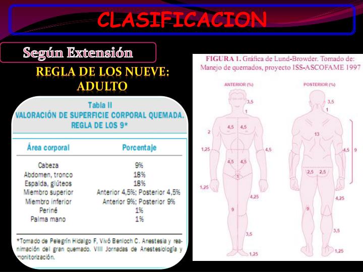 PPT - QUEMADURAS PowerPoint Presentation - ID:5596503
