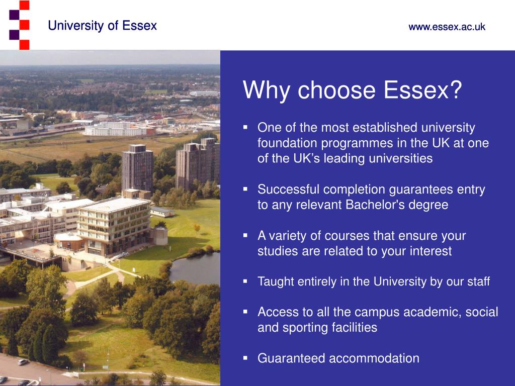 dissertation university of essex