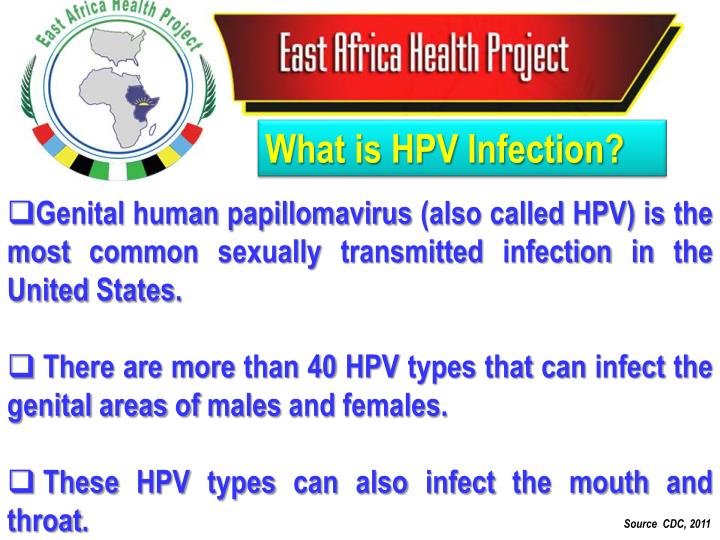 How Is Hpv Transmitted Cdc