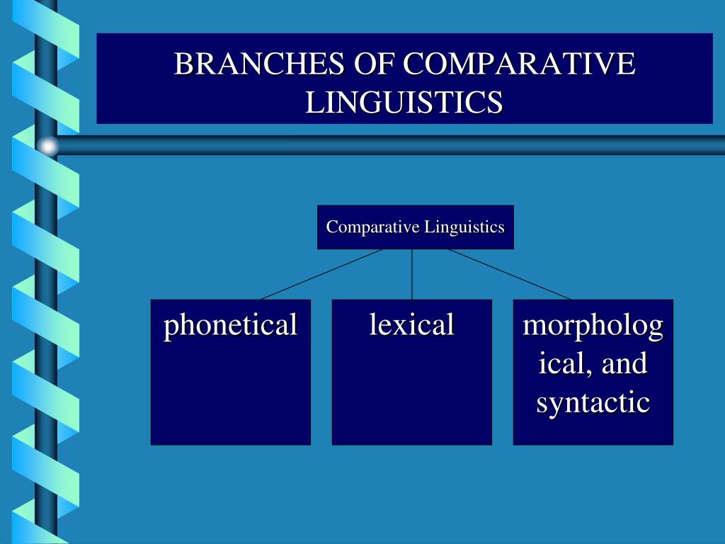 Comparison method. Interdisciplinary character of Comparative Linguistics. Comparative method Linguistics. Comparative Analysis of Linguistics. Branches of Linguistics презентация.