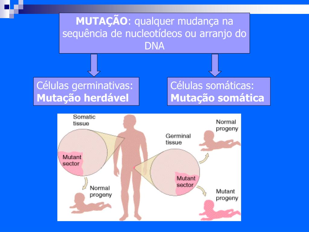 Uso De Mutações Induzidas E Cruzamentos Recíprocos No  - Brasil