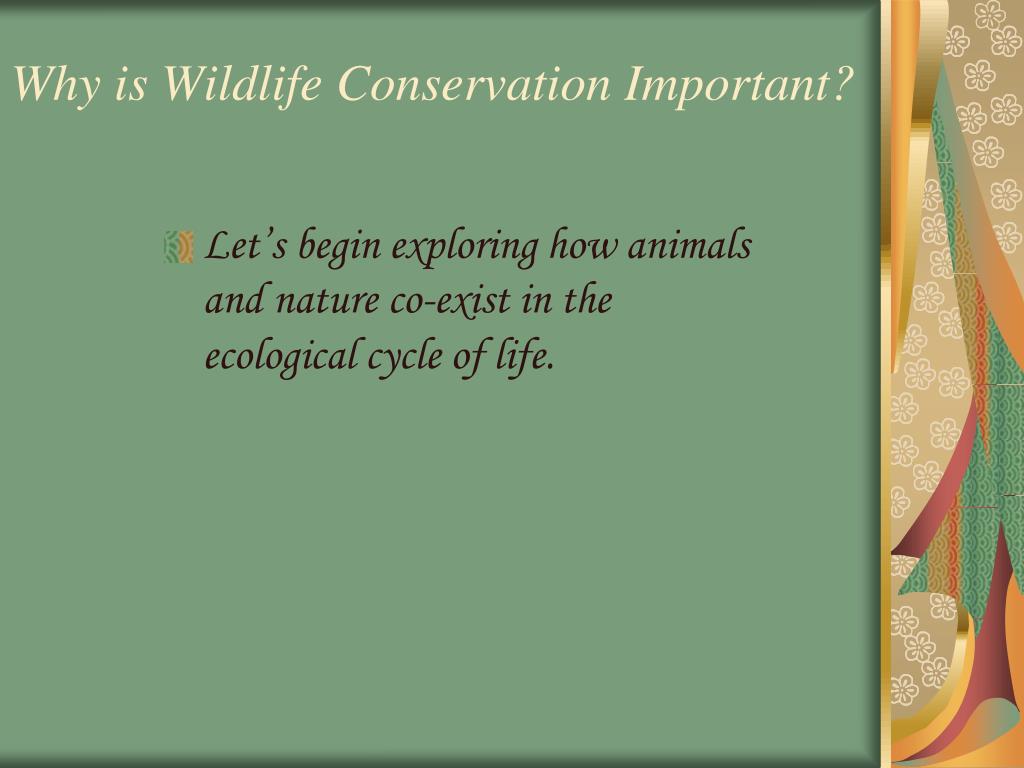 PPT - Wildlife Conservation: Its importance and benefits to all PowerPoint  Presentation - ID:5597671