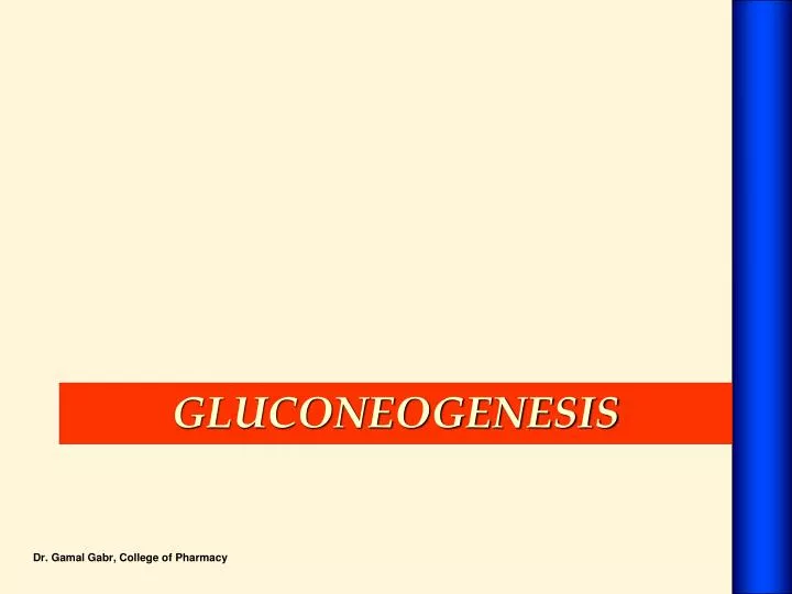 gluconeogenesis n.