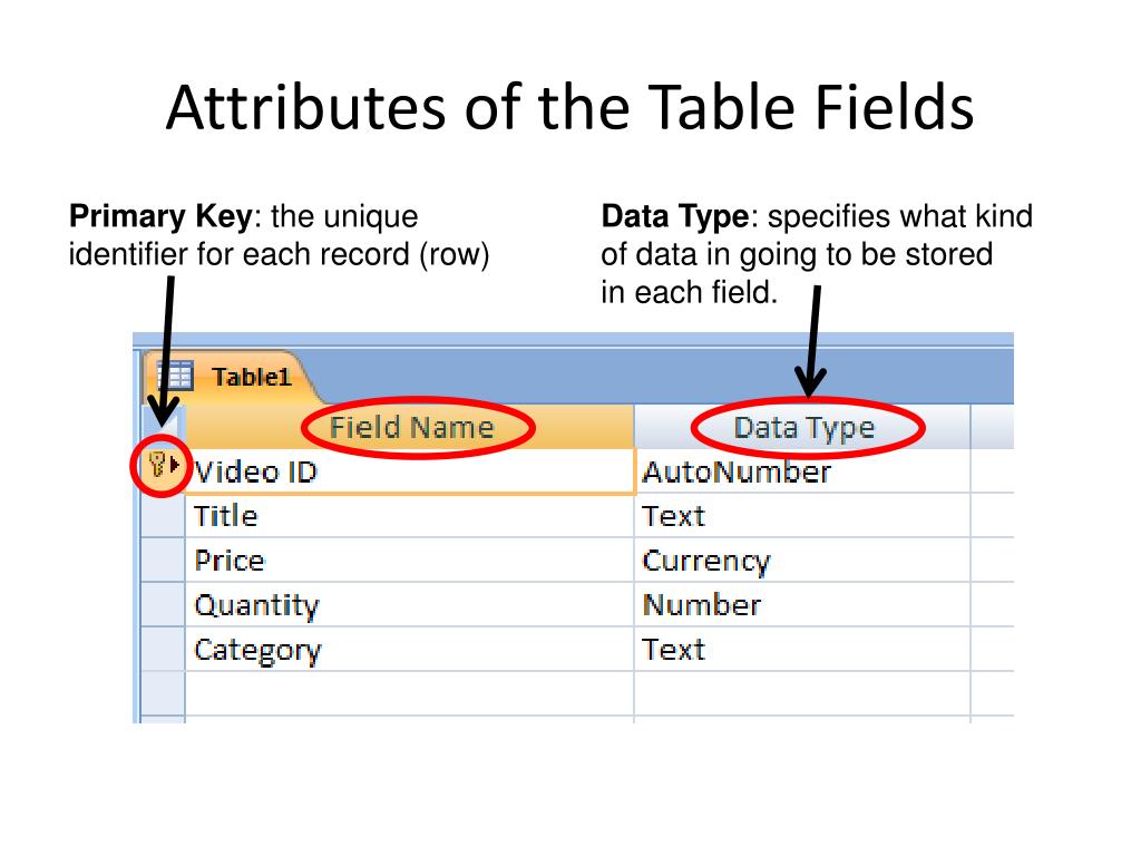 Ppt What Is A Database Powerpoint Presentation Free Download Id