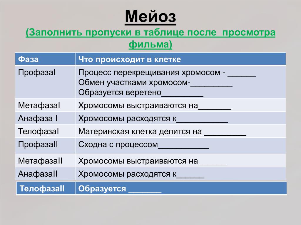 Митоз мейоз заполнить таблицу