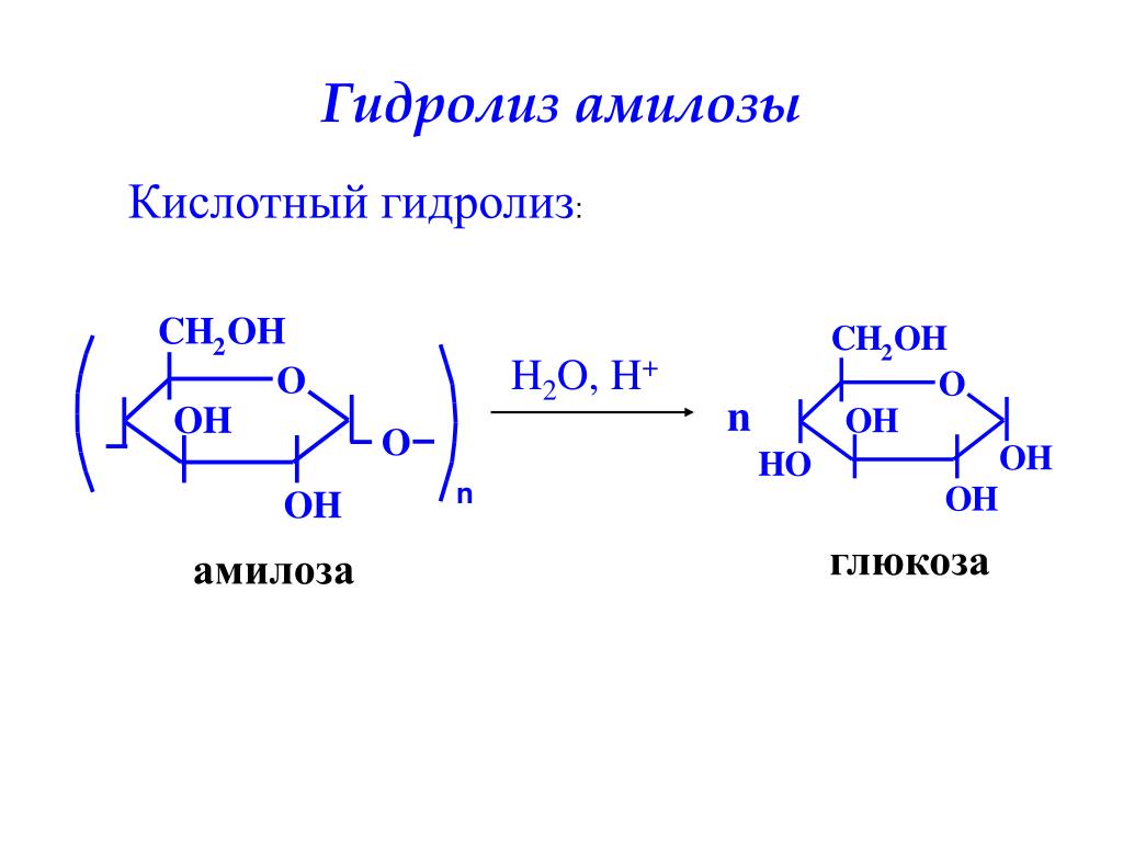 Фруктоза продукт гидролиза. Неполный гидролиз амилозы. Гидролиз амилозы реакция. Амилоза метилирование гидролиз. Полный гидролиз амилозы.